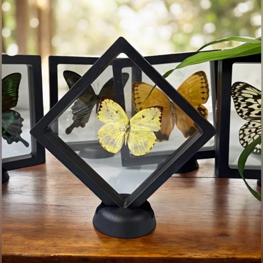 10Pc Clear Storage/Gift Box 😍♥️ - Picture 9 of 17